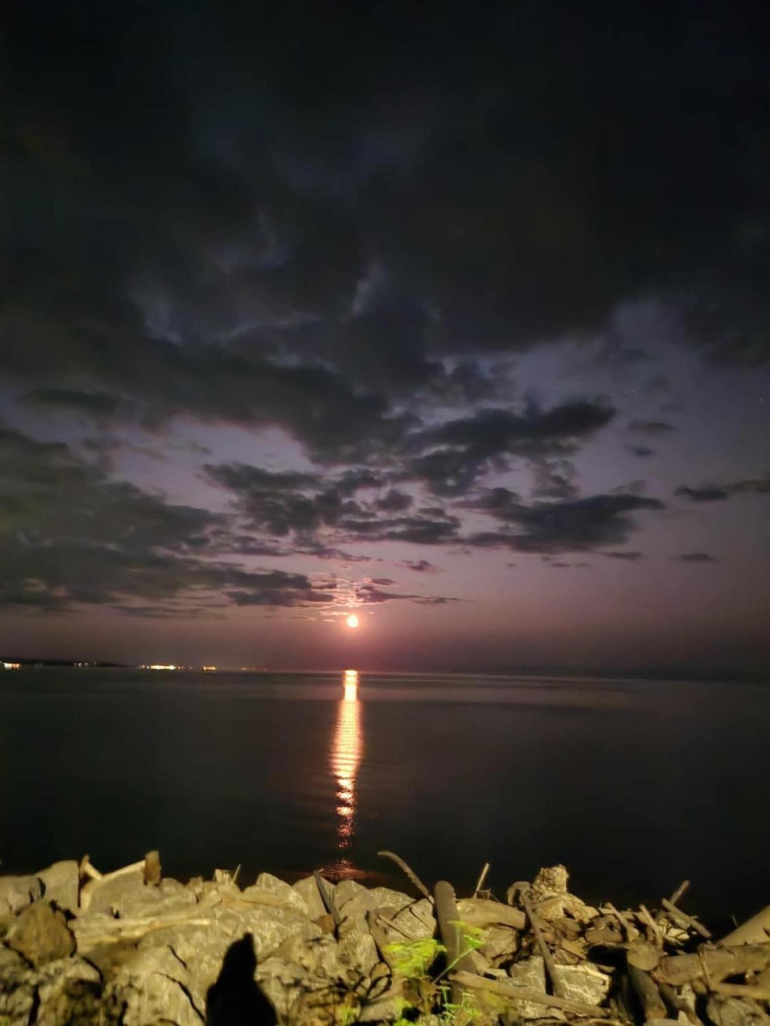 Motel Leblanc Carleton-sur-Mer Dış mekan fotoğraf